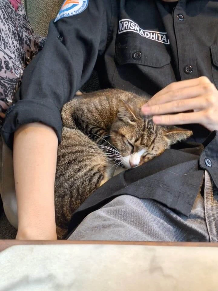 Slice of life image 3